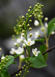 Similar image 1264040