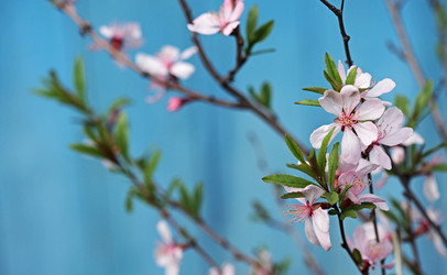 Similar image 1264041