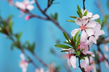 Similar image 1264043