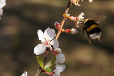 Similar image 1264160