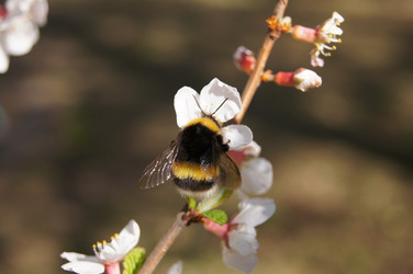 Similar image 1264163