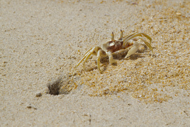 Similar image 1264222