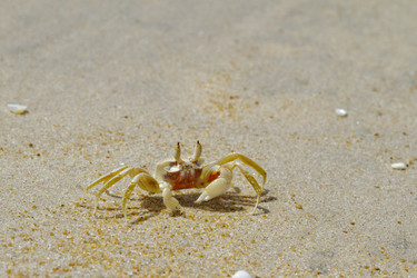 Similar image 1264224