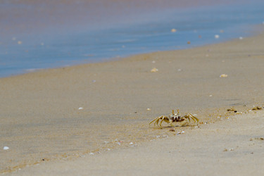 Similar image 1264225