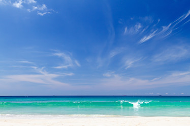 Similar image 1264226