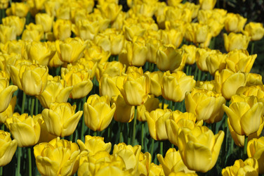 Similar image 1264368