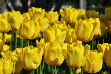 Similar image 1264369