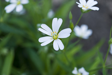 Similar image 1264379