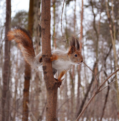 Similar image 1264401