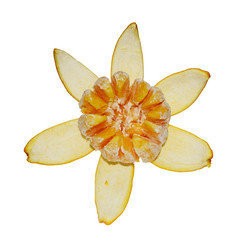 Similar image 1264403