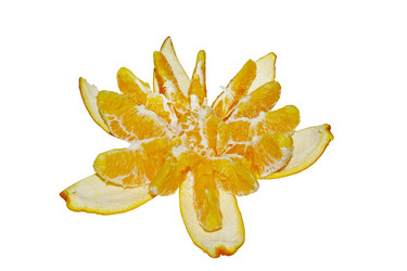 Similar image 1264406