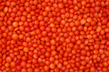 Similar image 1264446