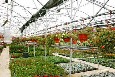 Similar image 1264448