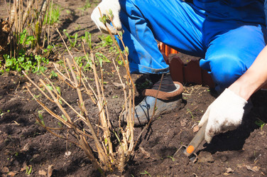 Similar image 1264496