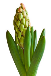 Similar image 1264533