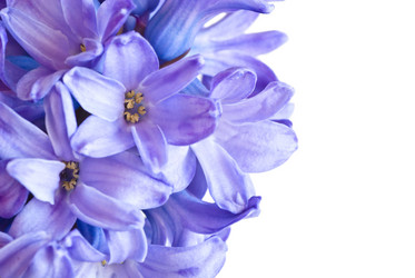 Similar image 1264535