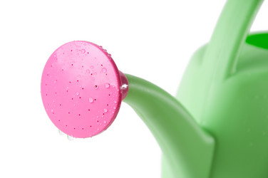 Similar image 1264655