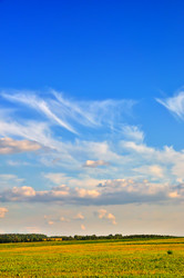 Similar image 1264730