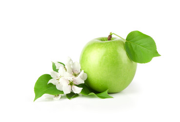 Similar image 1264927