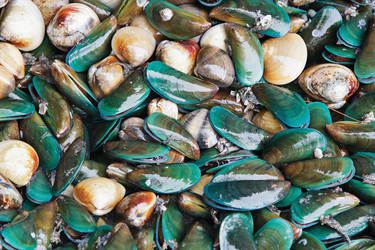 Similar image 1264963