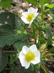 Similar image 1264978