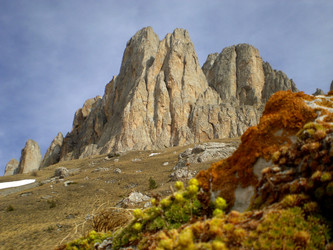 Similar image 1265043