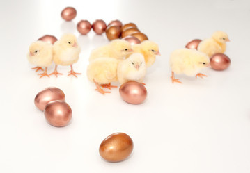 Similar image 1265048