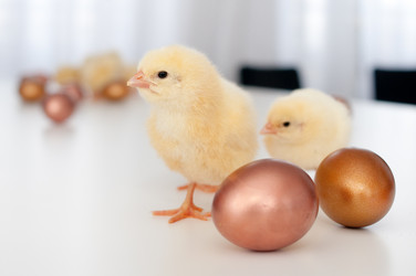 Similar image 1265050