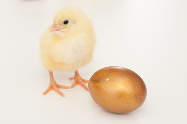 Similar image 1265052