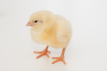 Similar image 1265053