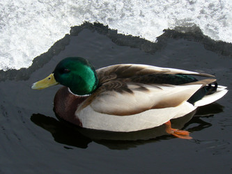 Similar image 1265062