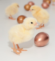 Similar image 1265251