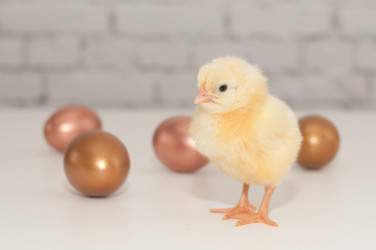 Similar image 1265252