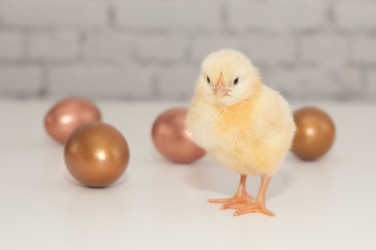 Similar image 1265253