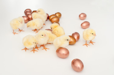 Similar image 1265254