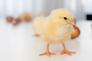 Similar image 1265257