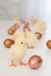 Similar image 1265258