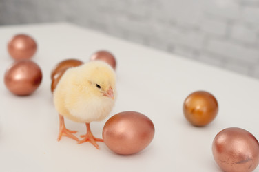 Similar image 1265259