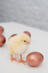 Similar image 1265260