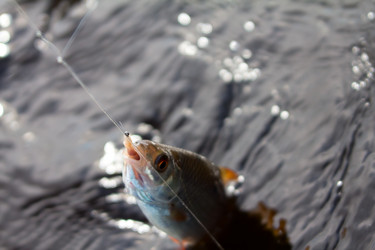 Similar image 1265292