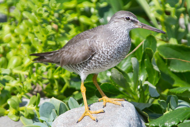 Similar image 1265295