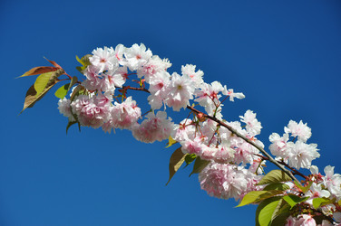 Similar image 1265307