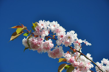 Similar image 1265308