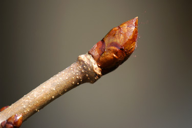 Similar image 1265323