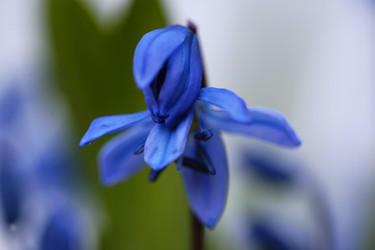 Similar image 1265325