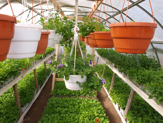 Similar image 1265343