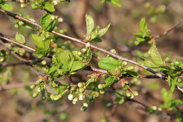 Similar image 1265353