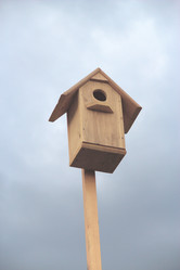 Similar image 1265354