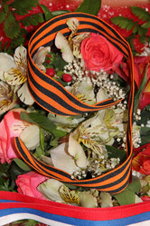 Similar image 1265358