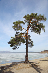 Similar image 1265391